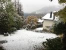 Filename : IMG_1059.jpg
Filesize : 744KB
Dimensions : 1750x1313
Date added : Oct 30, 2018 IMG_1059.jpg