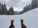 Filename : Piste.jpg
Filesize : 288KB
Dimensions : 1750x1313
Date added : Dec 18, 2017 Piste.jpg