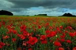 Filename : image~159.jpeg
Filesize : 256KB
Dimensions : 1024x676
Date added : Jul 01, 2016 image~159.jpeg