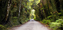Filename : jungle.jpg
Filesize : 162KB
Dimensions : 900x435
Date added : Dec 16, 2019 jungle.jpg