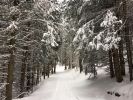 Filename : snow.jpg
Filesize : 596KB
Dimensions : 1750x1313
Date added : Dec 10, 2017 snow.jpg