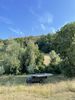 IMG_0923.jpeg