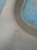 20170807_135310.jpg