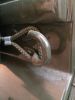 Filename : IMG_1295.JPG
Filesize : 816KB
Dimensions : 1750x2333
Date added : Jun 22, 2017 IMG_1295.JPG