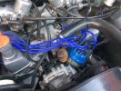 Filename : IMG_3410.JPG
Filesize : 564KB
Dimensions : 1632x1224
Date added : Oct 25, 2016 IMG_3410.JPG