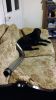 Filename : IMG_3429.JPG
Filesize : 448KB
Dimensions : 1080x1920
Date added : Dec 12, 2016 IMG_3429.JPG
