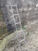 Brownchurch ladder~0.JPG