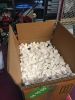 Filename : IMG_3449.jpg
Filesize : 1781KB
Dimensions : 2448x3264
Date added : Sep 09, 2015 IMG_3449.jpg