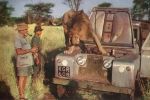 Filename : GeorgeAdamson_Ugas_OnLandRover_COLOR_280.jpg
Filesize : 43KB
Dimensions : 422x280
Date added : Jun 23, 2016 GeorgeAdamson_Ugas_OnLandRover_COLOR_280.jpg