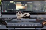 Filename : LR2.JPG
Filesize : 215KB
Dimensions : 1296x864
Date added : Jun 23, 2016 LR2.JPG