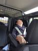 Filename : image~42.jpeg
Filesize : 457KB
Dimensions : 1224x1632
Date added : Aug 09, 2016 image~42.jpeg