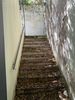 IMG_3802.jpeg
