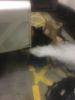 Filename : 8EE40EF8-01FC-4163-AE20-075FACD92B44.jpeg
Filesize : 637KB
Dimensions : 1750x2333
Date added : Jan 13, 2018 8EE40EF8-01FC-4163-AE20-075FACD92B44.jpeg