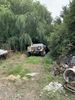 Filename : BF10BA02-F76C-4024-8D4D-11F84DF3E8A6.jpeg
Filesize : 2707KB
Dimensions : 1750x2333
Date added : Jul 06, 2020 BF10BA02-F76C-4024-8D4D-11F84DF3E8A6.jpeg