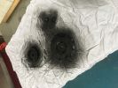 Filename : IMG_8548.JPG
Filesize : 436KB
Dimensions : 1750x1312
Date added : Mar 18, 2017 IMG_8548.JPG