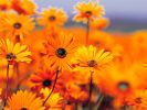 Filename : Welcome Scan.jpg
Filesize : 235KB
Dimensions : 1024x768
Date added : Nov 30, 2015 Welcome Scan.jpg