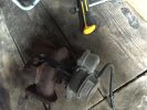 Filename : image~18.jpeg
Filesize : 506KB
Dimensions : 1750x1312
Date added : Jul 07, 2016 image~18.jpeg
