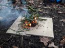 Filename : 20190101_151117.jpg
Filesize : 1075KB
Dimensions : 1750x1313
Date added : Jan 01, 2019 20190101_151117.jpg