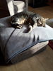 Filename : 20190223_091525.jpg
Filesize : 1705KB
Dimensions : 1750x2333
Date added : Feb 23, 2019 20190223_091525.jpg