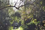 Filename : DSC_0144.JPG
Filesize : 209KB
Dimensions : 800x531
Date added : Oct 16, 2016 DSC_0144.JPG