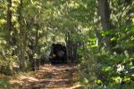 Filename : _DSC0046~0.jpg
Filesize : 245KB
Dimensions : 1280x850
Date added : Sep 23, 2018 _DSC0046~0.jpg