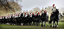 Filename : household-cavalary.jpg
Filesize : 371KB
Dimensions : 1750x806
Date added : Jul 23, 2021 household-cavalary.jpg