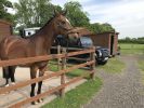 Filename : IMG_3187.JPG
Filesize : 819KB
Dimensions : 1750x1312
Date added : Jun 03, 2017 IMG_3187.JPG