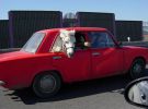 Filename : Pony.jpeg
Filesize : 270KB
Dimensions : 1396x1030
Date added : Jul 11, 2018 Pony.jpeg