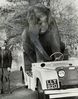 Filename : elephant.jpg
Filesize : 273KB
Dimensions : 967x1227
Date added : Apr 08, 2020 elephant.jpg