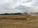 Filename : IMG_4531.JPG
Filesize : 557KB
Dimensions : 1750x1312
Date added : Jul 20, 2017 IMG_4531.JPG