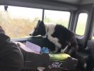 Filename : IMG_4596.JPG
Filesize : 459KB
Dimensions : 1750x1312
Date added : Aug 11, 2017 IMG_4596.JPG