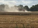 Filename : IMG_4626.JPG
Filesize : 373KB
Dimensions : 1750x1312
Date added : Aug 20, 2017 IMG_4626.JPG