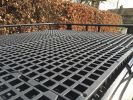 Filename : IMG_0117.jpg
Filesize : 706KB
Dimensions : 1750x1312
Date added : Mar 06, 2016 IMG_0117.jpg