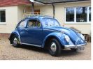 beetle 2.jpg