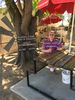 Filename : IMG_0973.JPG
Filesize : 1603KB
Dimensions : 1750x2333
Date added : Dec 21, 2019 IMG_0973.JPG