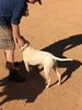 Filename : IMG_1014.JPG
Filesize : 778KB
Dimensions : 1750x2333
Date added : Dec 22, 2019 IMG_1014.JPG