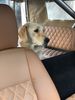 Filename : IMG_2837.JPEG
Filesize : 1112KB
Dimensions : 1750x2333
Date added : Nov 16, 2019 IMG_2837.JPEG