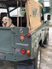 Filename : IMG_2842.JPEG
Filesize : 1170KB
Dimensions : 1750x2333
Date added : Nov 16, 2019 IMG_2842.JPEG