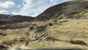 Filename : 574A28E5-F1E3-4136-A6AB-0FD95AD67D38.jpeg
Filesize : 614KB
Dimensions : 1750x984
Date added : May 21, 2018 574A28E5-F1E3-4136-A6AB-0FD95AD67D38.jpeg