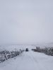 Filename : 20180317_103426.jpg
Filesize : 687KB
Dimensions : 1750x2333
Date added : Mar 17, 2018 20180317_103426.jpg