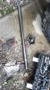 Filename : IMG-20181230-WA0014.jpeg
Filesize : 1982KB
Dimensions : 1750x3111
Date added : Dec 31, 2018 IMG-20181230-WA0014.jpeg