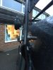 Filename : IMG_3987.JPG
Filesize : 815KB
Dimensions : 1750x2333
Date added : Jan 31, 2017 IMG_3987.JPG