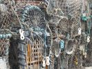 Filename : DSCF5348.JPG
Filesize : 1109KB
Dimensions : 1750x1312
Date added : Nov 03, 2016 DSCF5348.JPG