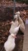 Filename : IMG_20160220_133320.jpg
Filesize : 1328KB
Dimensions : 1750x3111
Date added : Feb 23, 2016 IMG_20160220_133320.jpg