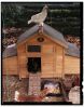 Filename : IMG_20160220_134355.jpg
Filesize : 775KB
Dimensions : 1602x2051
Date added : Feb 23, 2016 IMG_20160220_134355.jpg