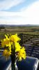 Filename : IMG_20160413_082544.jpg
Filesize : 988KB
Dimensions : 1750x3111
Date added : Apr 25, 2016 IMG_20160413_082544.jpg