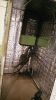 Filename : IMG_20161106_154413.jpg
Filesize : 801KB
Dimensions : 1750x3111
Date added : Nov 06, 2016 IMG_20161106_154413.jpg