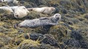 Filename : IMG_20170821_111825.jpg
Filesize : 666KB
Dimensions : 1750x984
Date added : Aug 31, 2017 IMG_20170821_111825.jpg