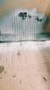 Filename : IMG_20171115_082926_01~0.jpg
Filesize : 1337KB
Dimensions : 1750x3111
Date added : Nov 15, 2017 IMG_20171115_082926_01~0.jpg