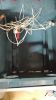 Filename : IMG_20171115_194606.jpg
Filesize : 1020KB
Dimensions : 1750x3111
Date added : Nov 15, 2017 IMG_20171115_194606.jpg